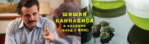 прущие крисы Аркадак