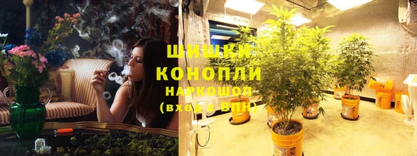 прущие крисы Аркадак